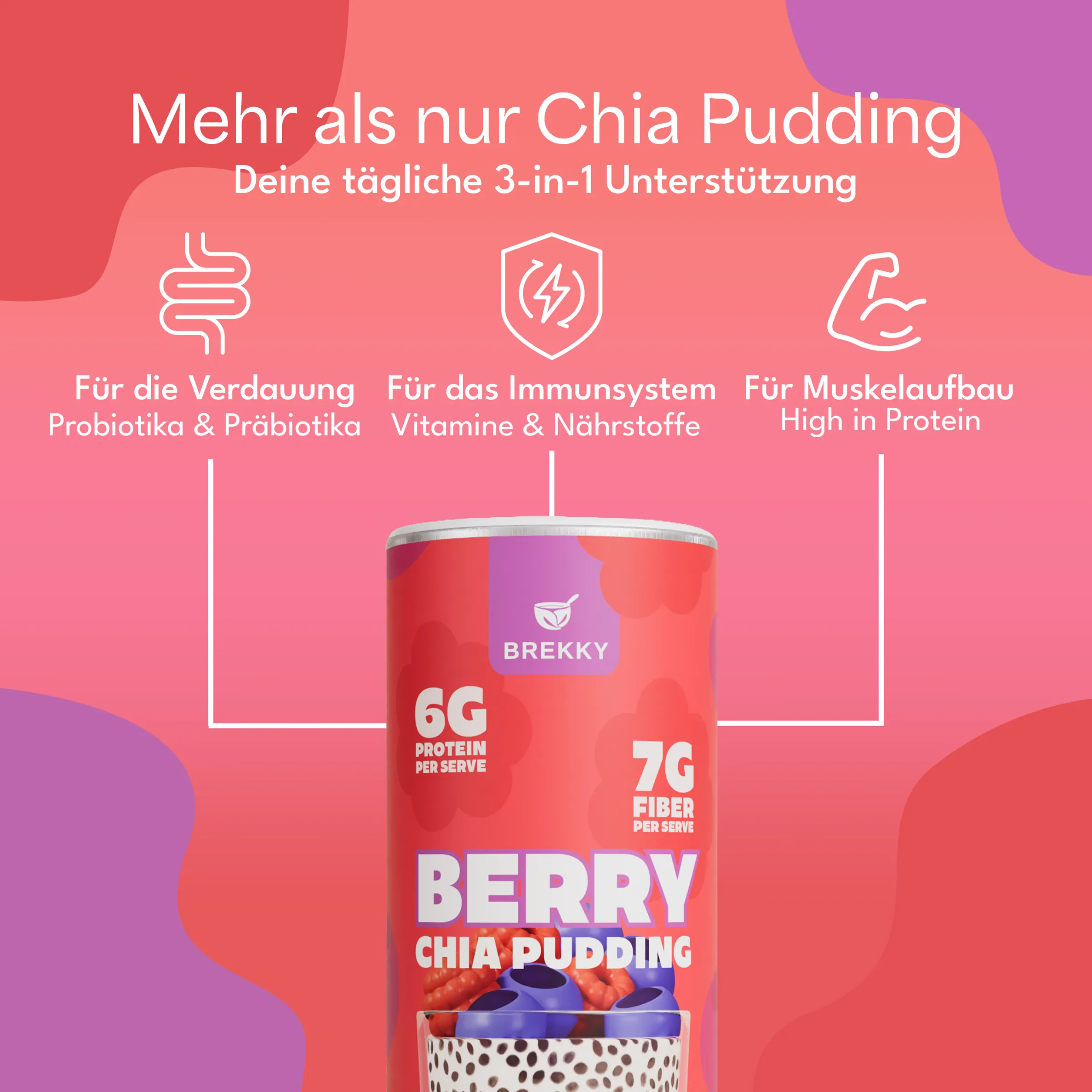 Chia Pudding Probierpaket | Prä- & Probiotisch - Image 3