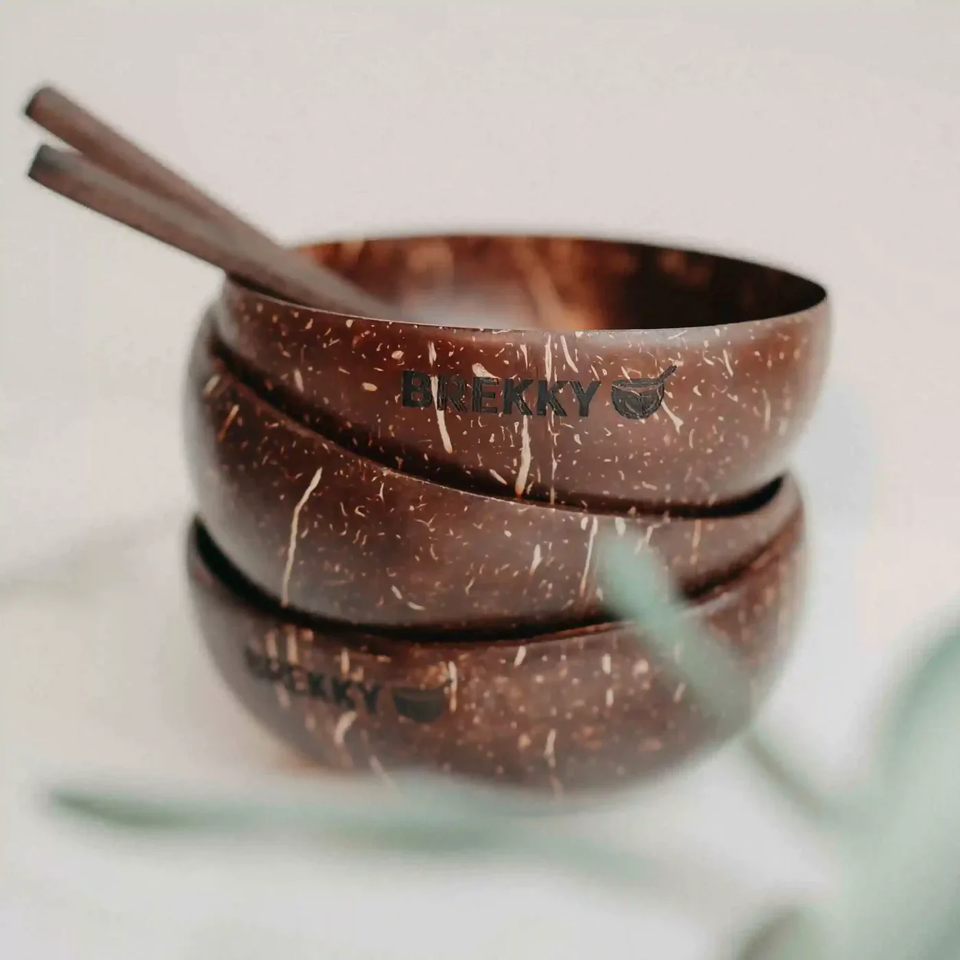 Handgefertigte Kokosnuss Bowl - Image 3
