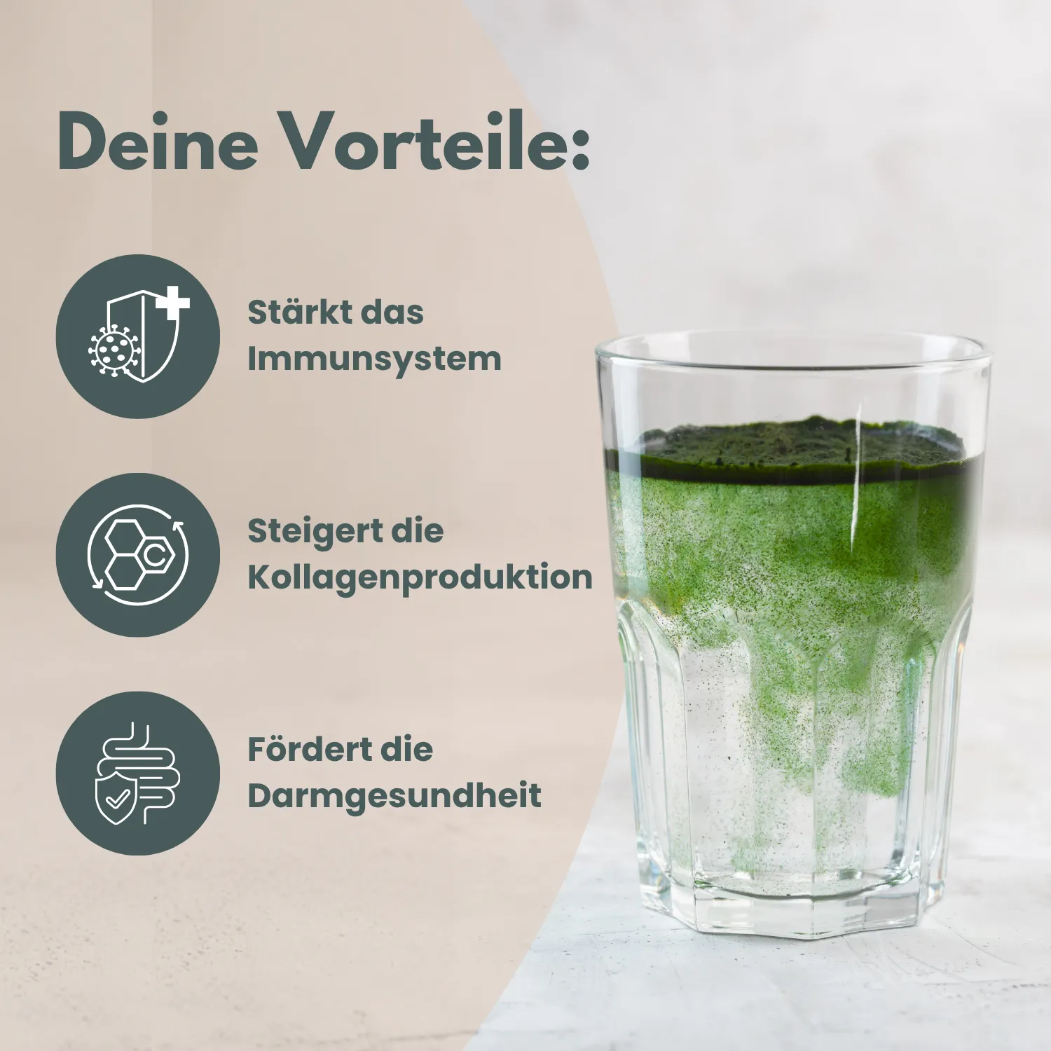 Vegan Collagen+Greens - Image 3